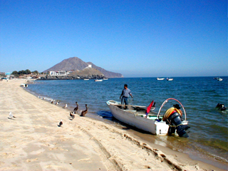 San Felipe fisherman